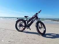 Dynalion rower elektryczny 750W/7900PLN